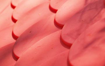 Watledge plastic roof costs